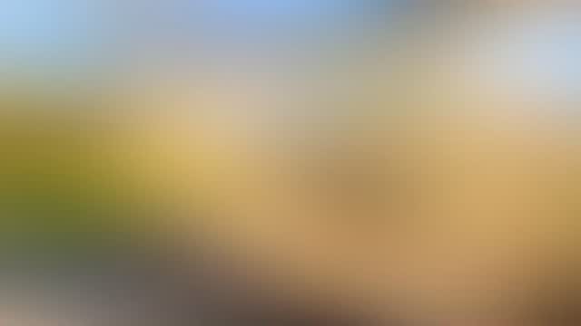 Instagram post from qdwoodwork. This post is in position 17.